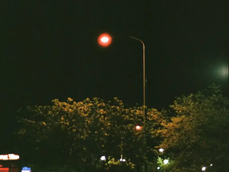 A lit street lamp against a night sky